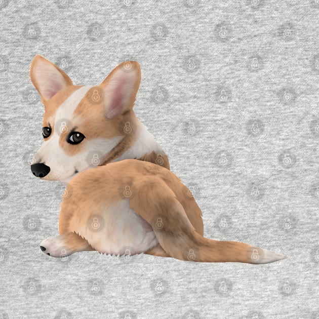 Pembroke Welsh Corgi by CleanRain3675